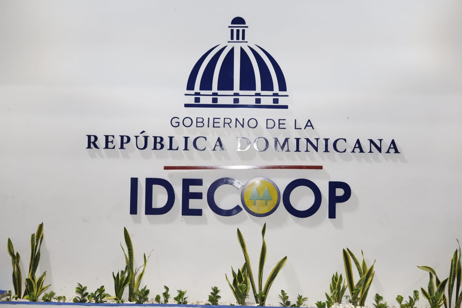 IDECOOP RECEPCION