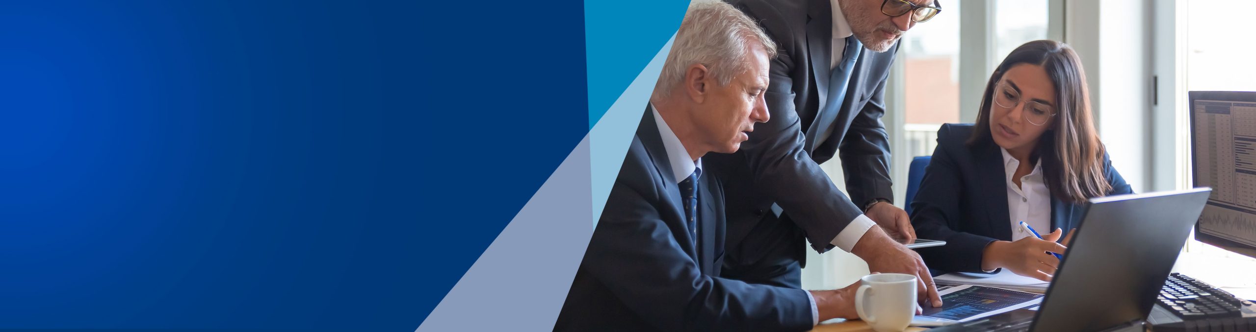 Registro de Auditores y Firmas Externos